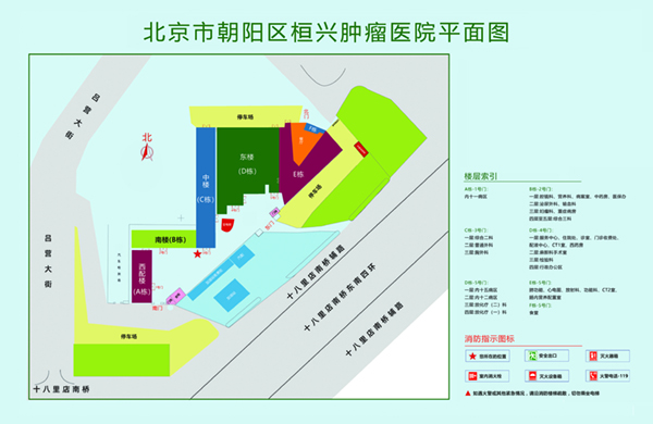 大鸡巴插入肉穴视频网北京市朝阳区桓兴肿瘤医院平面图